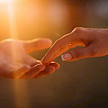 © freepic.diller | freepik.com | (Newlyweds hands affectionate touch each other)